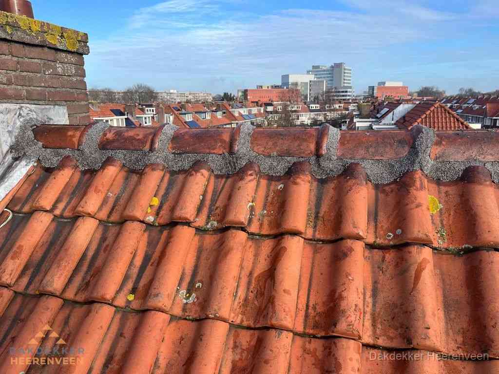 Heerenveen Daken Renoveren