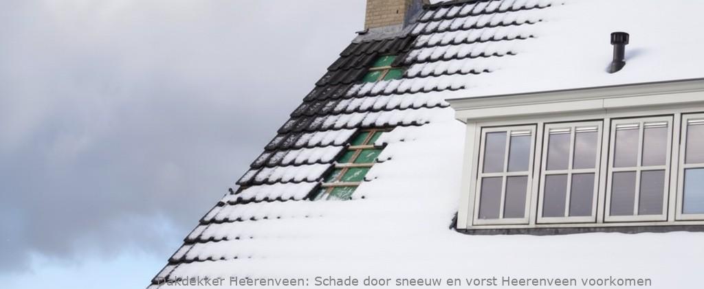 Schade Door Sneeuw En Vorst Heerenveen