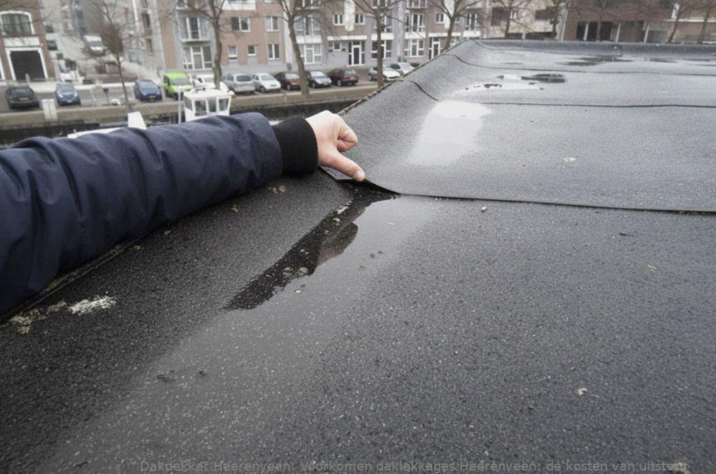 Voorkomen Daklekkages Heerenveen